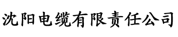 一级理论片网电缆厂logo